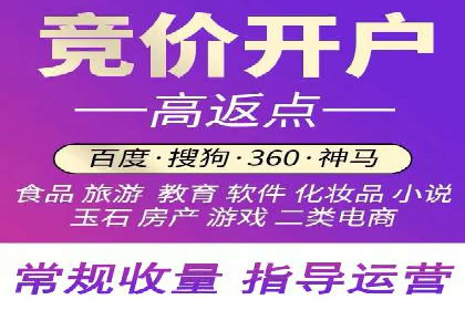 成功SEM托管案例解析